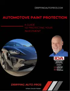 DAP Automotive Paint Guide Pic