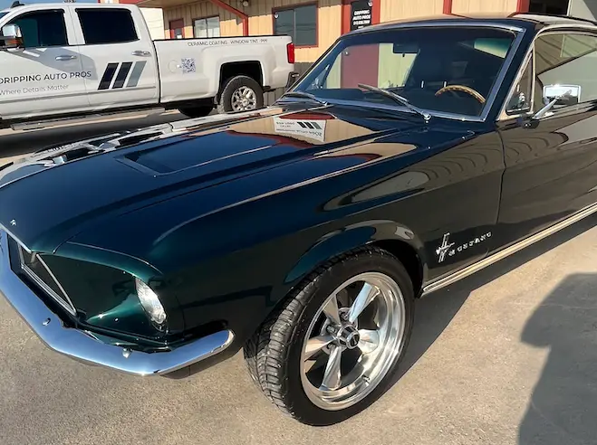 1967 Mustang Fastback Ceramic Coating 3